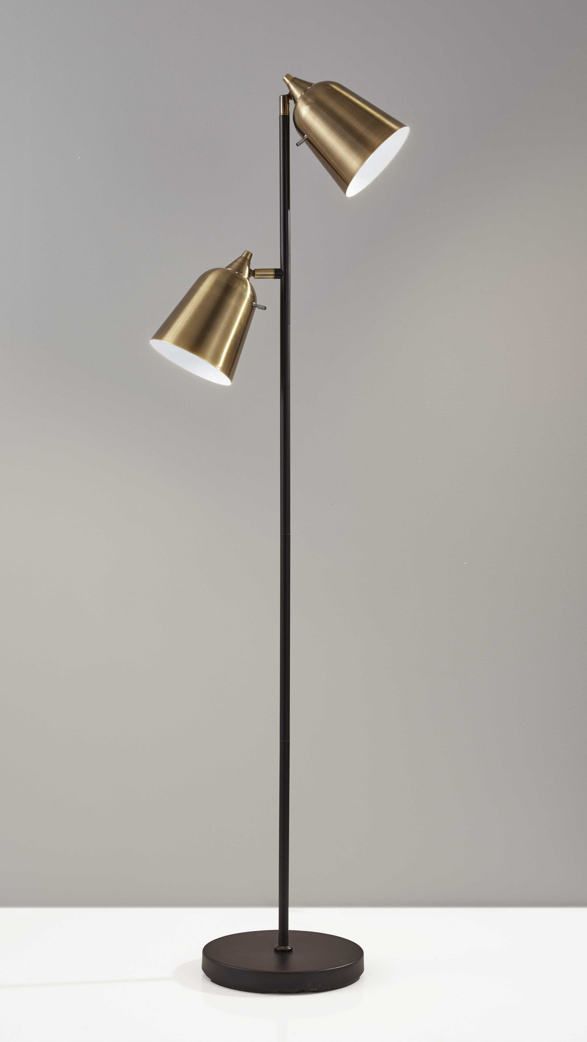 HomeRoots Metal Floor Lamp with Adjustable Antique Brass Shades in Matte Black Finish