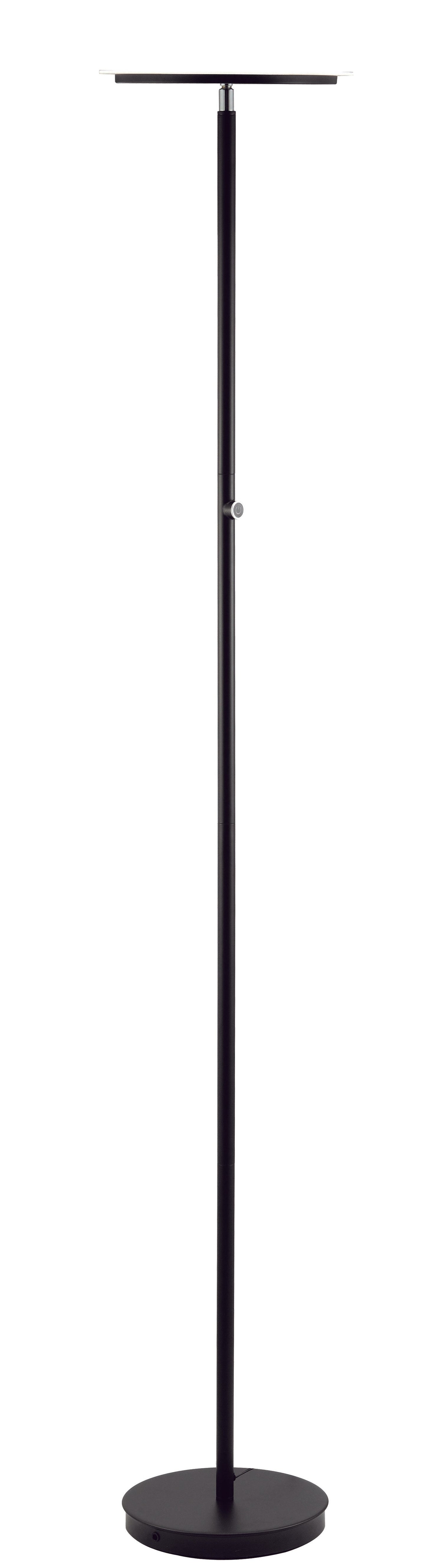 HomeRoots Metal LED Floor Lamp in Black Finish