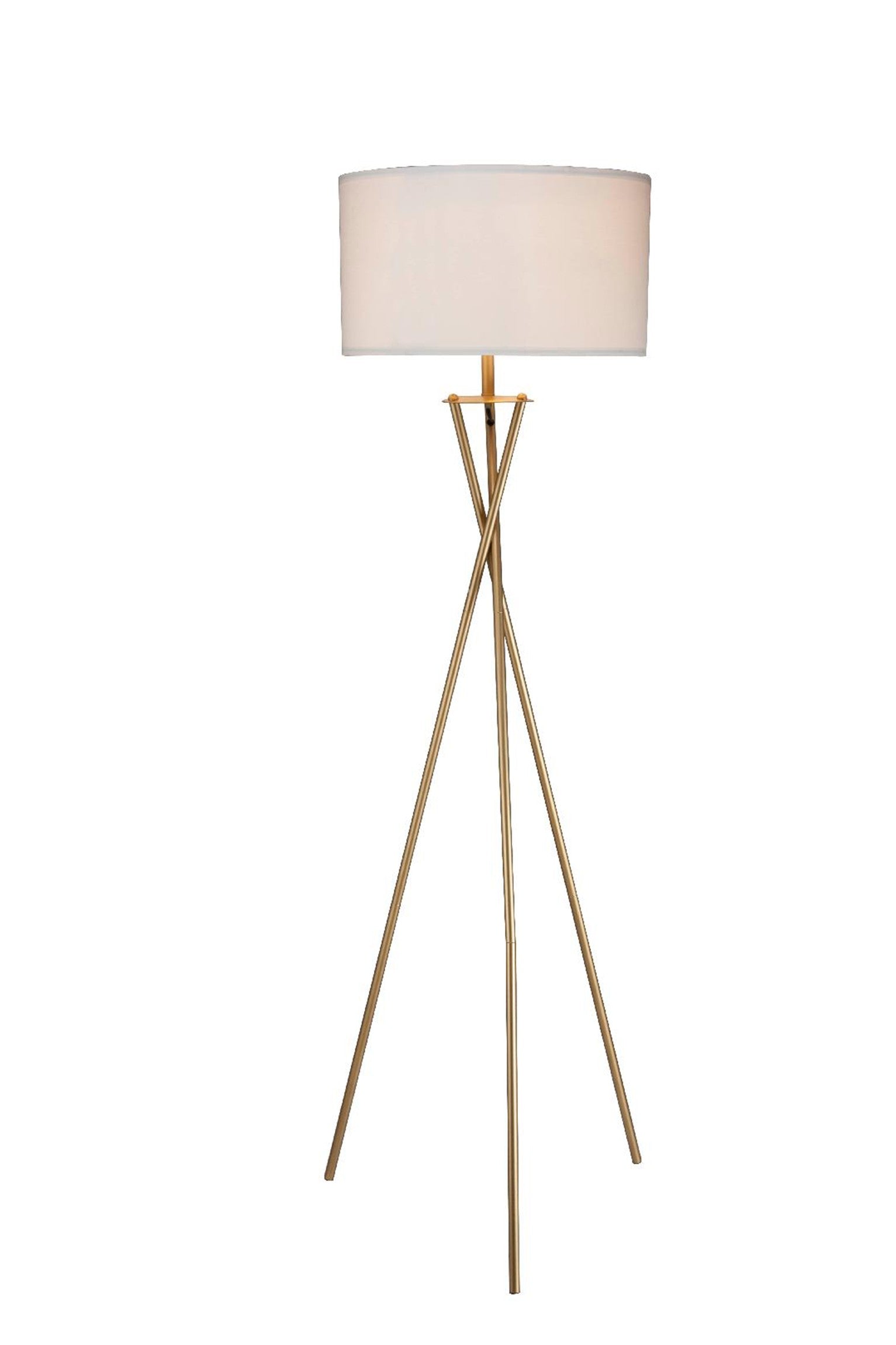 HomeRoots Minimalist Metal Floor Lamp in Gold Finish
