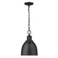 HomeRoots Minimalist Pendant Hanging Light With Black Metal Finish