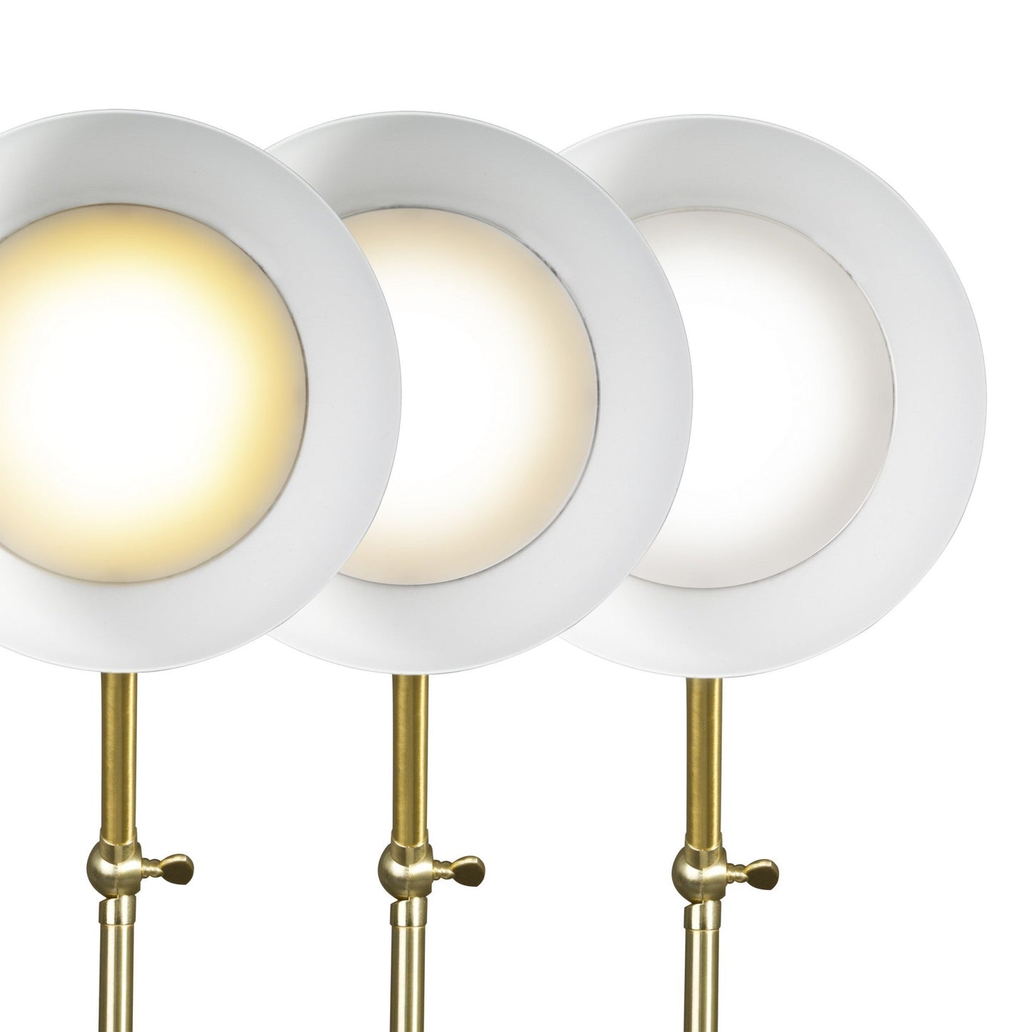 HomeRoots Mod LED Adjustable Desk Lamp With Matte Black and Gold Finish