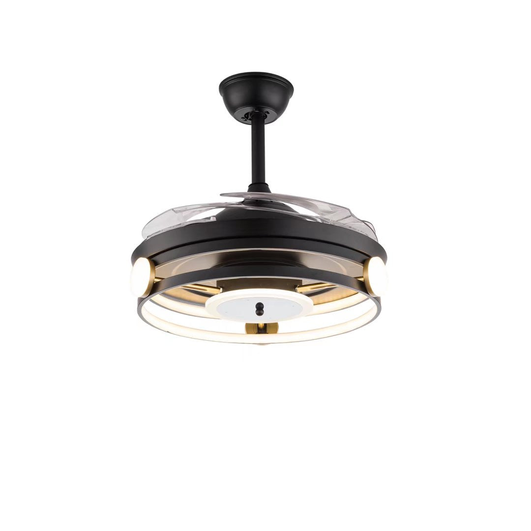 HomeRoots Modern Ceiling Lamp With Retractable Fan in Black Finish