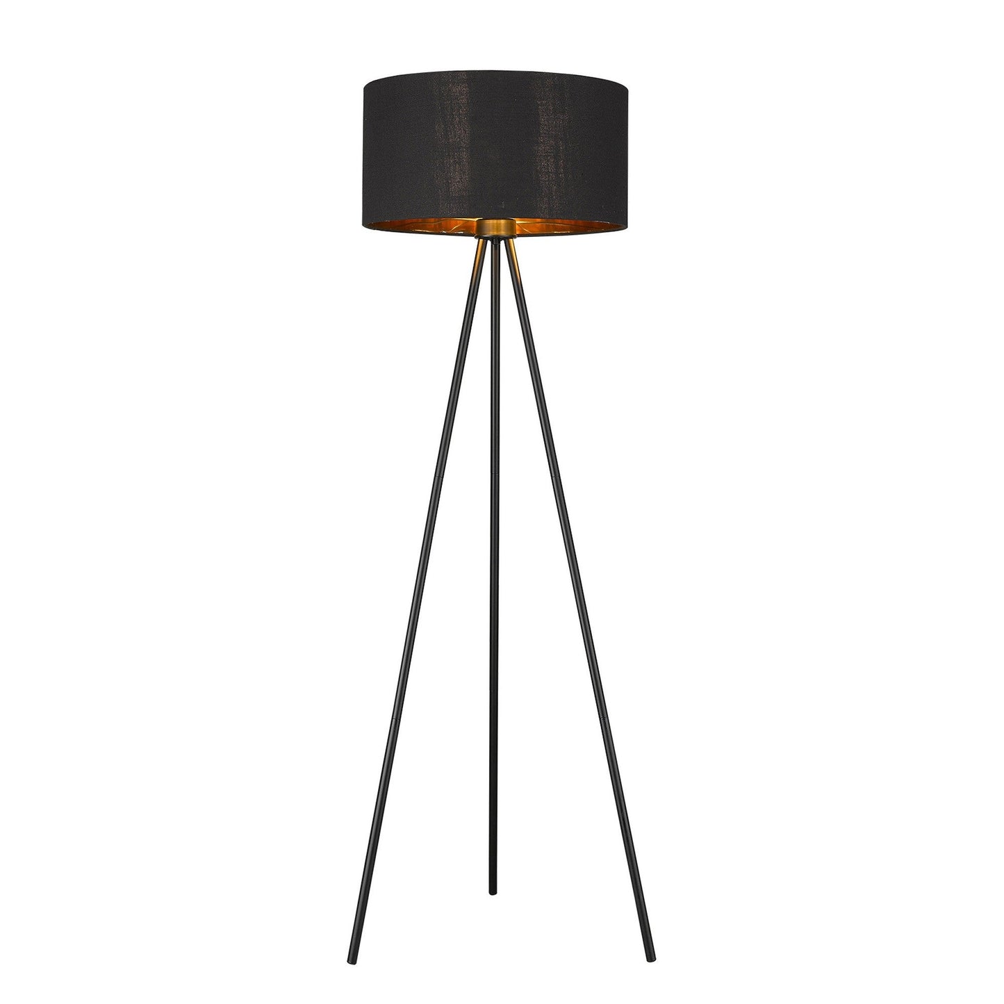 HomeRoots Morenci 1-Light Floor Lamp in Matte Black Finish