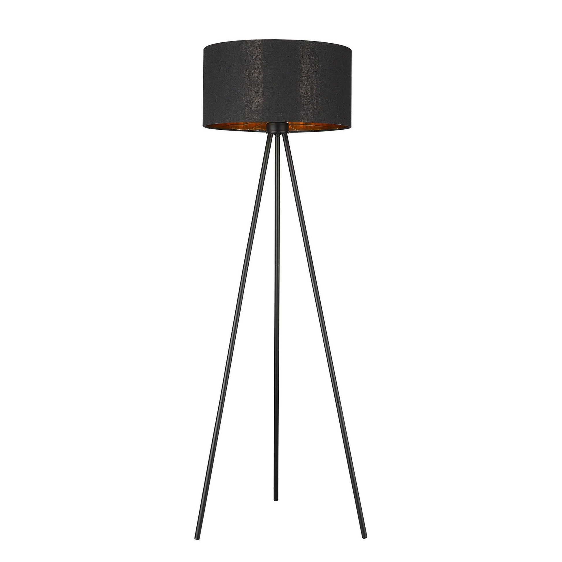 HomeRoots Morenci 1-Light Floor Lamp in Matte Black Finish