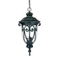 HomeRoots Naples 3-Light Hanging Light in Matte Black Finish