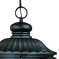 HomeRoots Naples 3-Light Hanging Light in Matte Black Finish