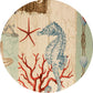 HomeRoots Natural Tropical Beauty Of The Sea Table Lamp With Rustic White Finish