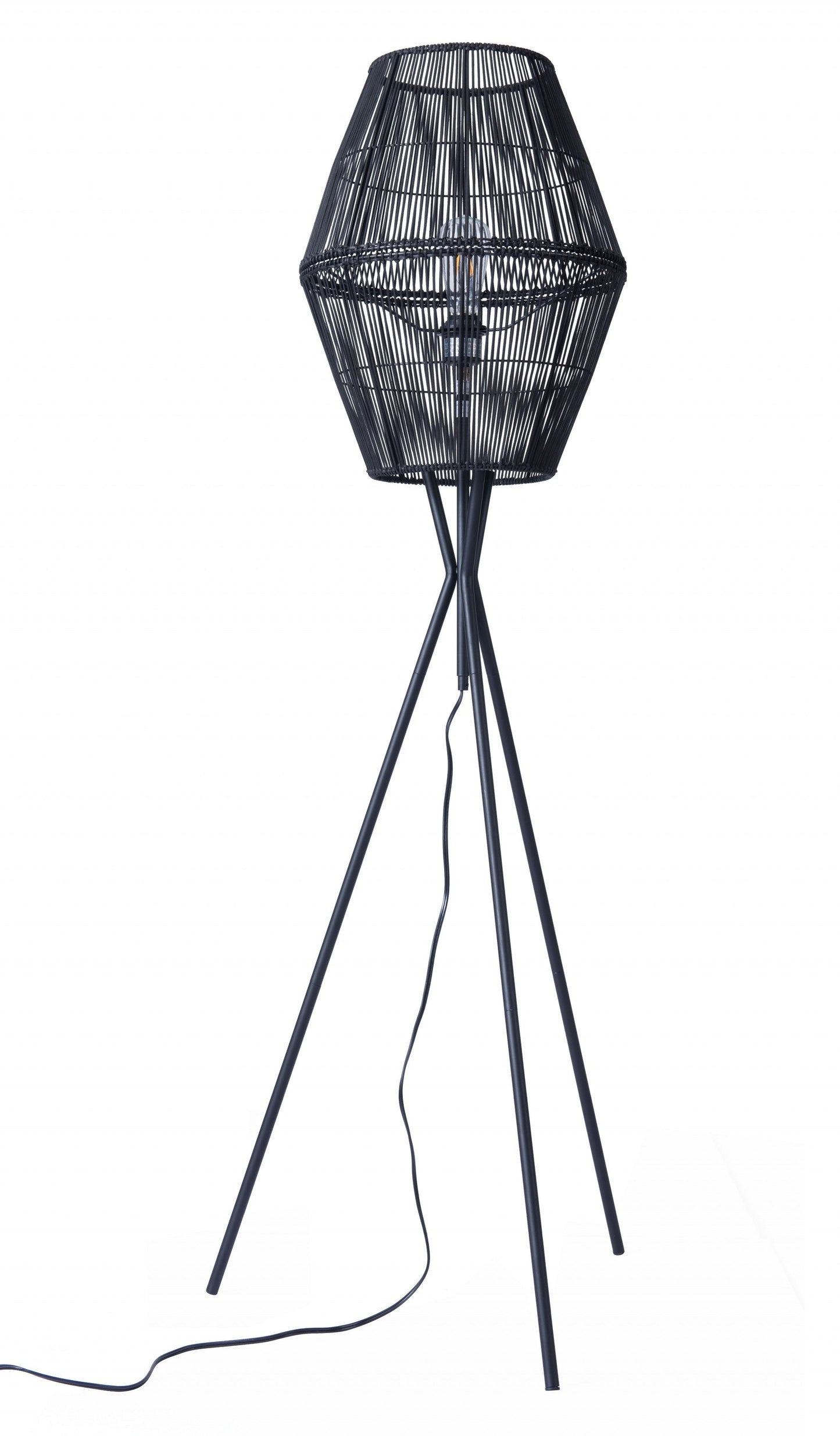 HomeRoots Nest Floor Lamp in Black Finish