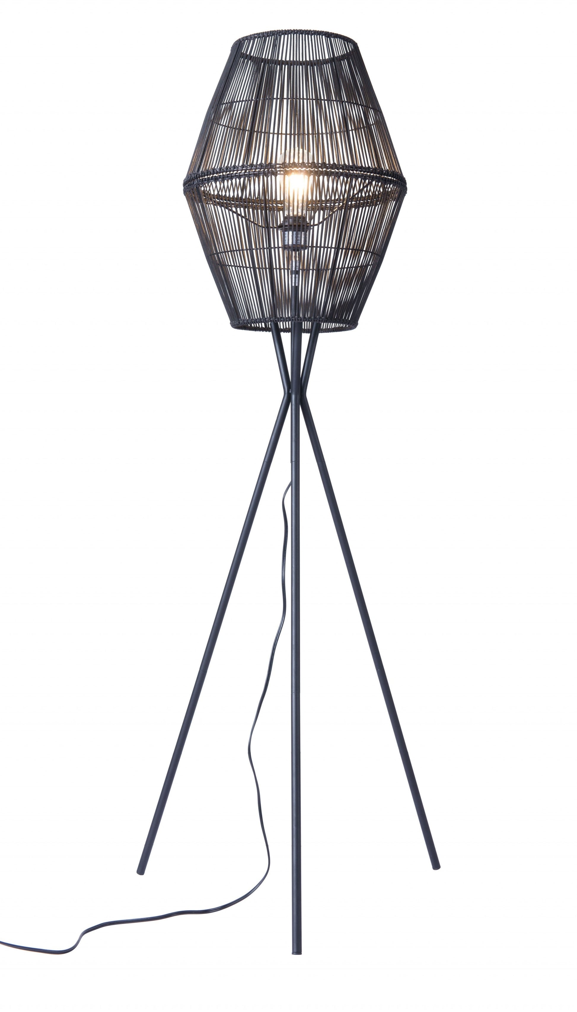 HomeRoots Nest Floor Lamp in Black Finish