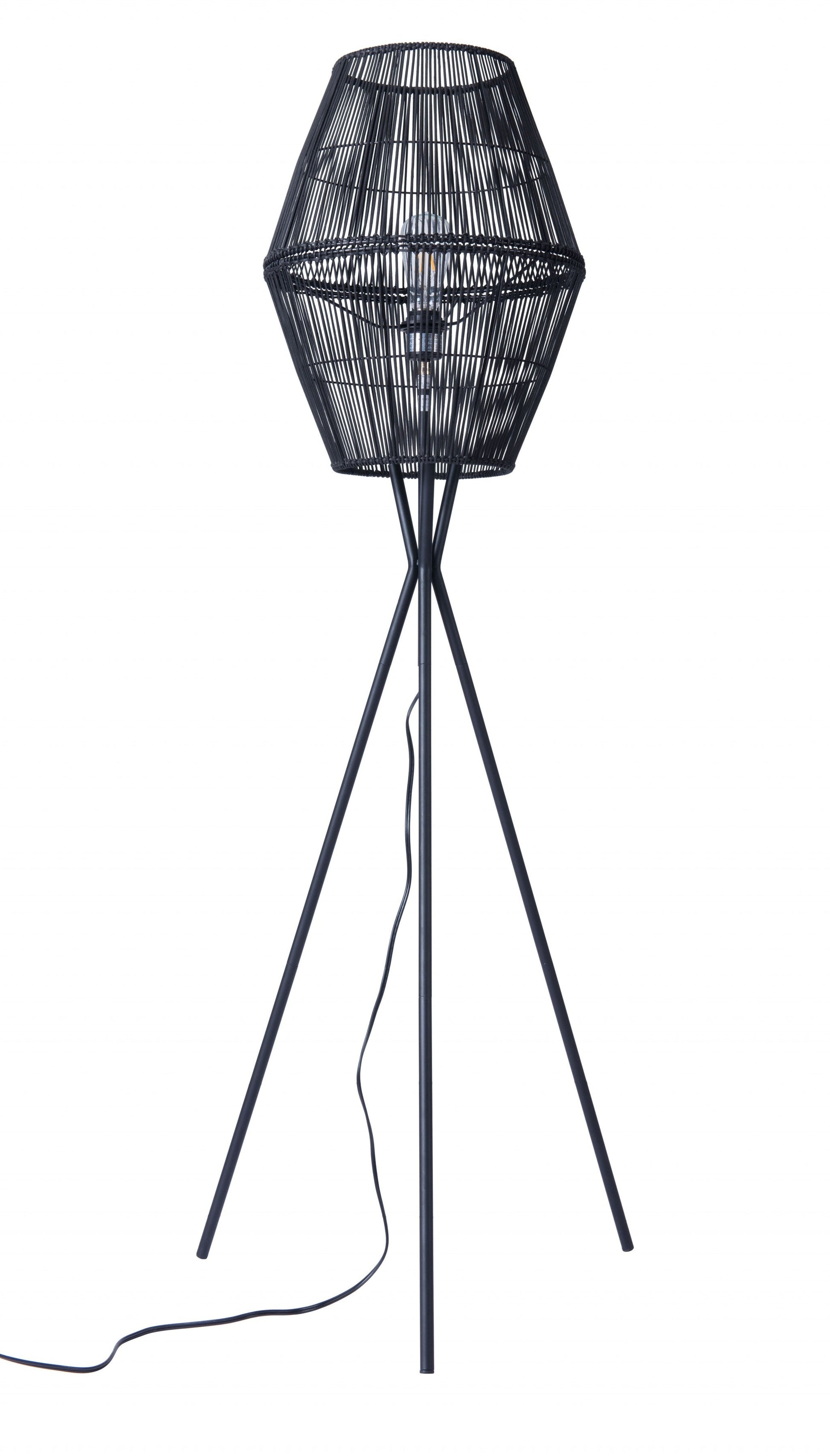 HomeRoots Nest Floor Lamp in Black Finish