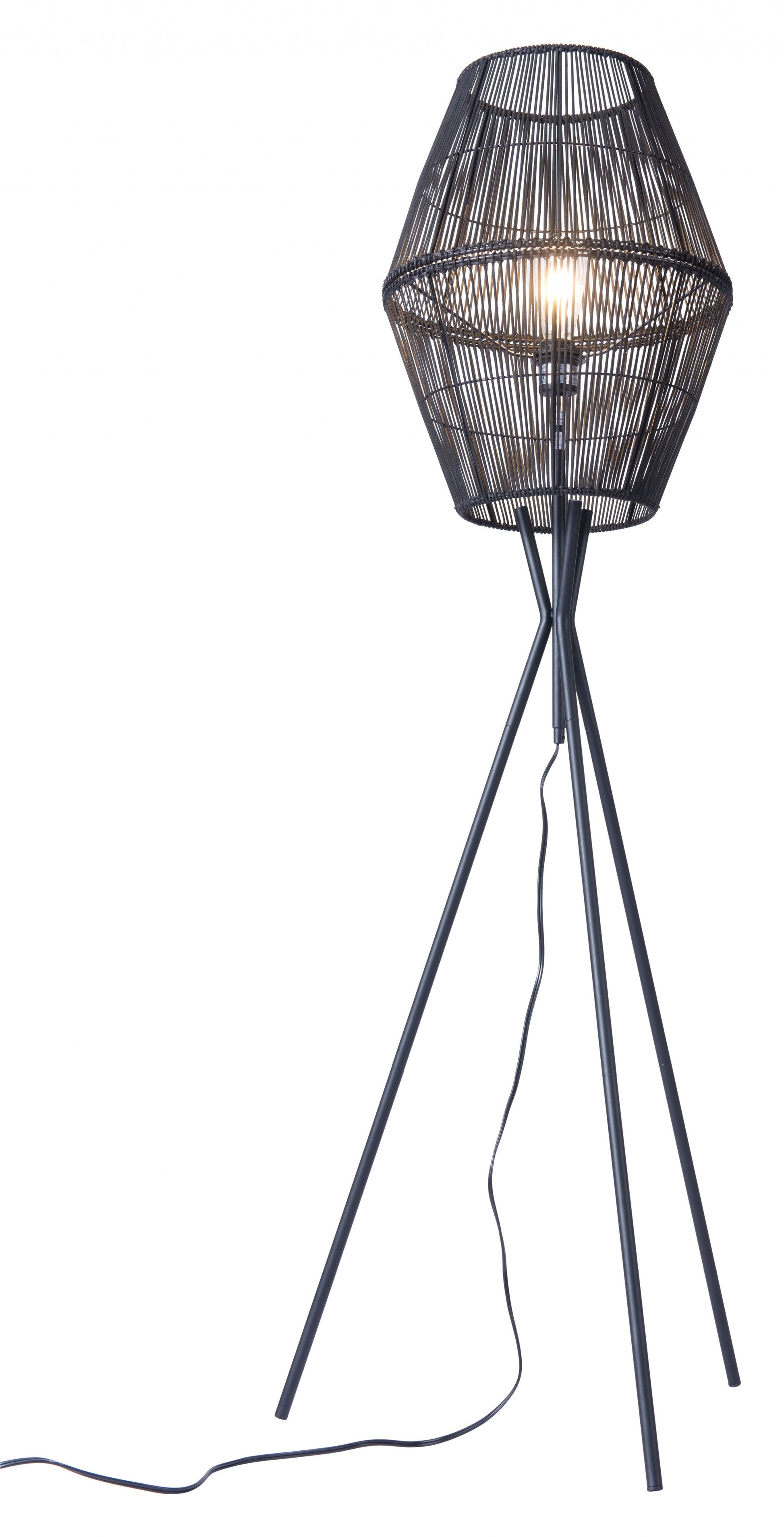 HomeRoots Nest Floor Lamp in Black Finish