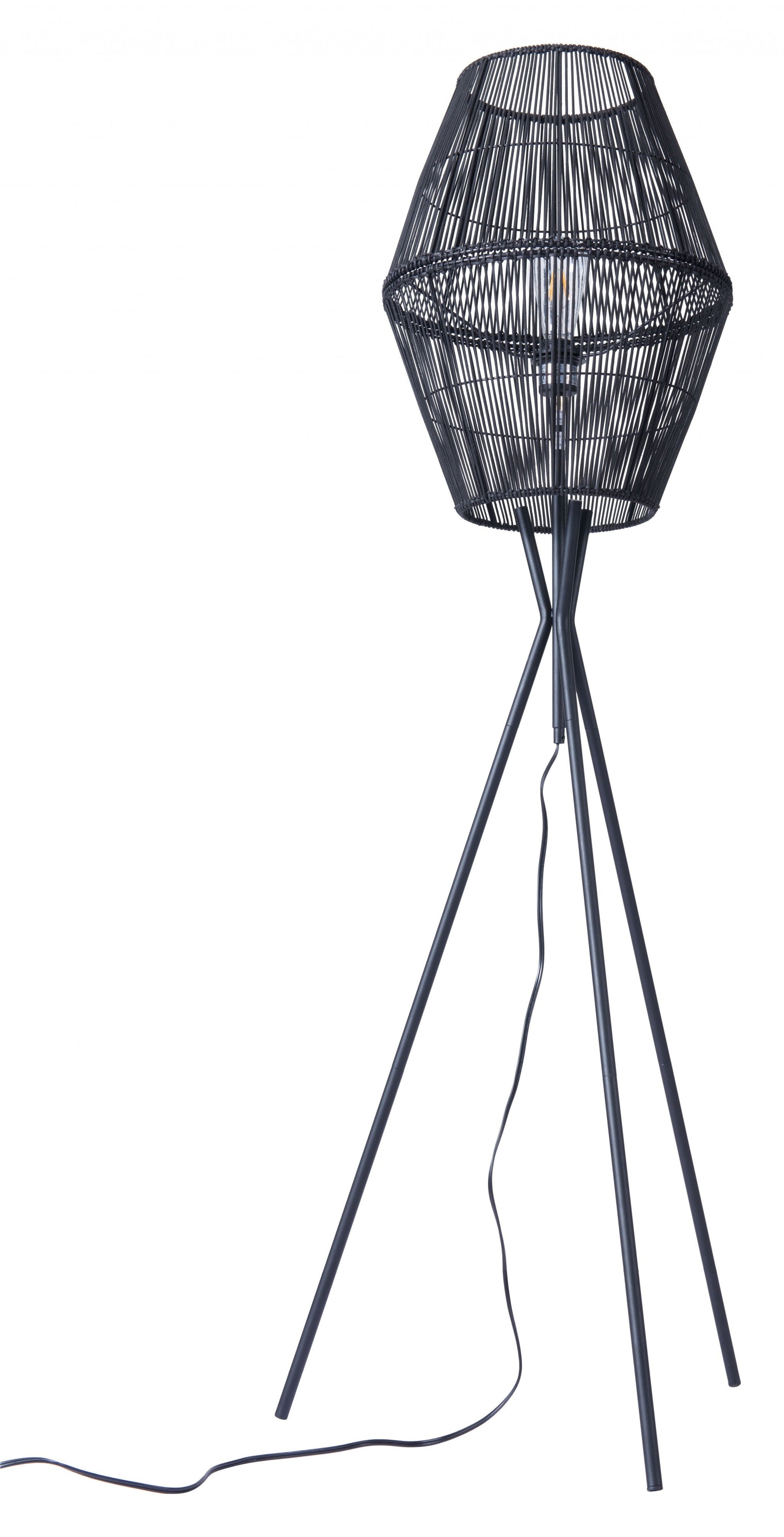 HomeRoots Nest Floor Lamp in Black Finish