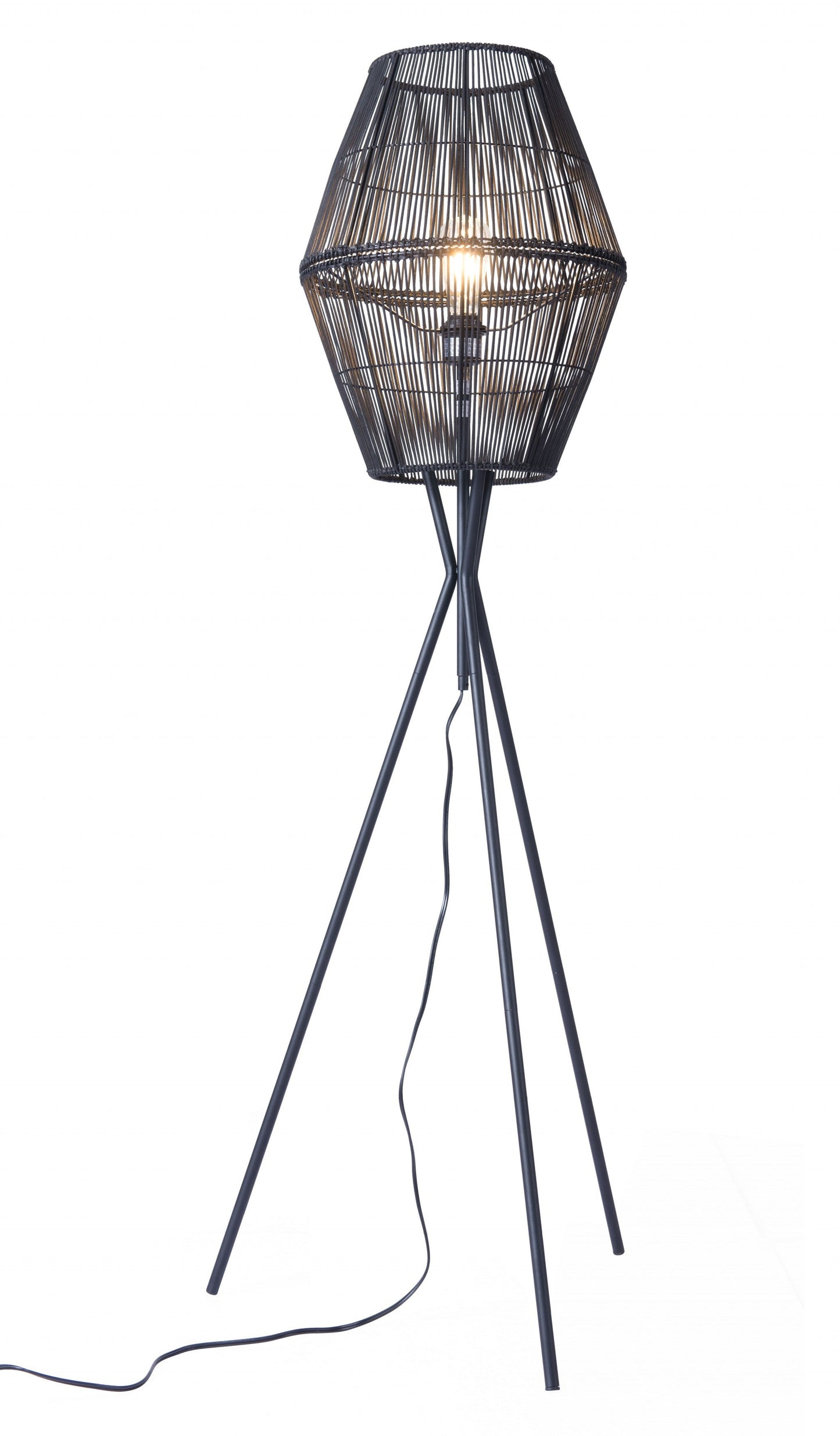 HomeRoots Nest Floor Lamp in Black Finish