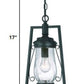 HomeRoots Oil Lamp Hanging Light in Matte Black Finish