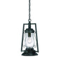HomeRoots Oil Lamp Hanging Light in Matte Black Finish