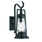 HomeRoots Oil Lamp Wall Light With Matte Black Finish