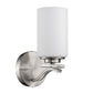 HomeRoots One Light Wall Sconce With Glass and Silver Finish