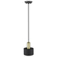 HomeRoots Pendant Hanging Light With Matte Black and Gold Finish