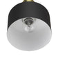 HomeRoots Pendant Hanging Light With Matte Black and Gold Finish