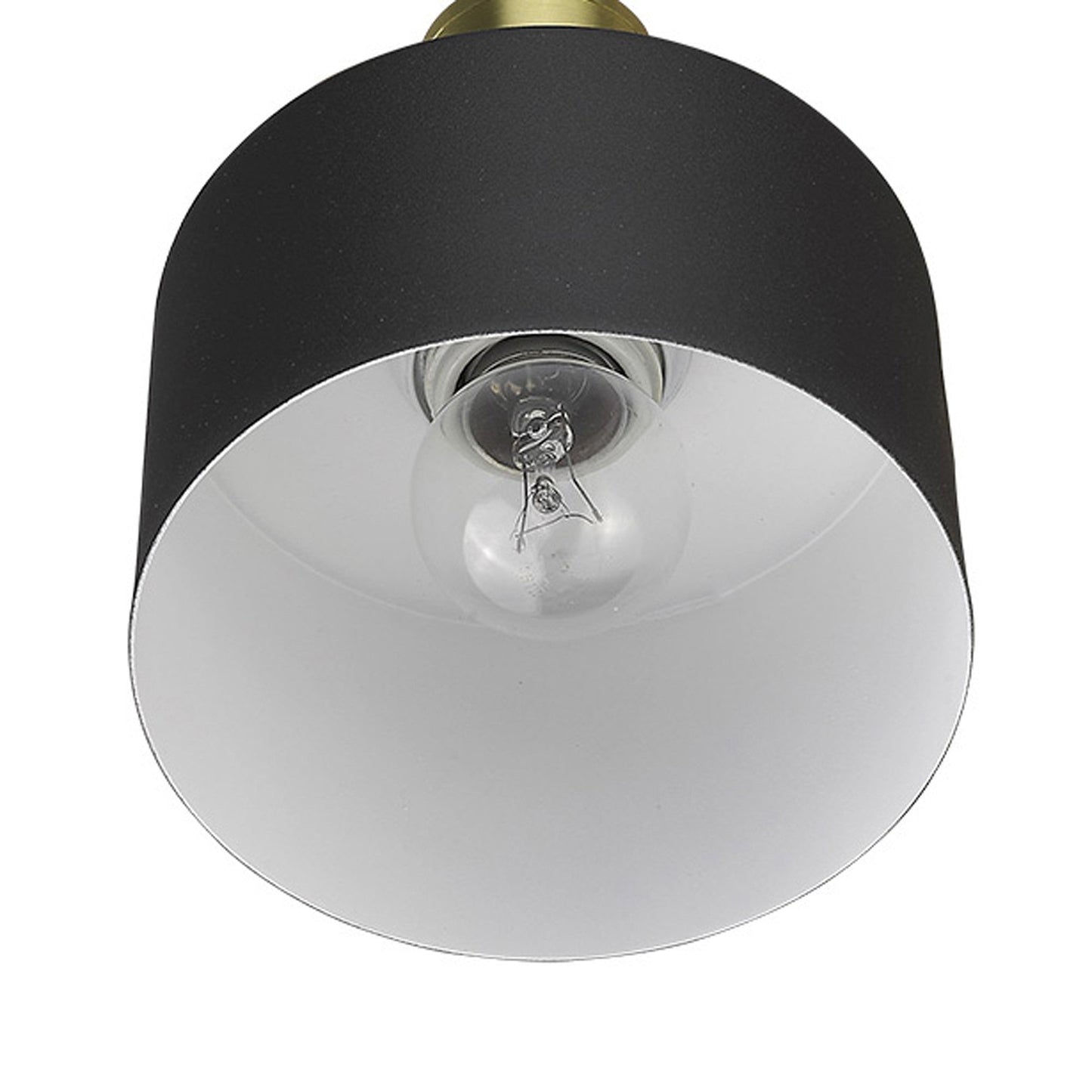 HomeRoots Pendant Hanging Light With Matte Black and Gold Finish