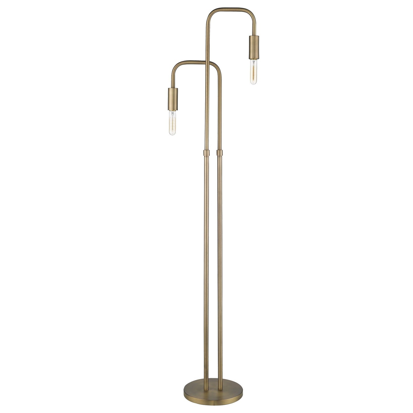 HomeRoots Perret 2-Light Floor Lamp in Aged Brass Finish