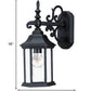 HomeRoots Petite Domed Hanging Glass Lantern Wall Light With Matte Black Finish