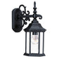 HomeRoots Petite Domed Hanging Glass Lantern Wall Light With Matte Black Finish