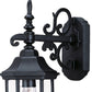HomeRoots Petite Domed Hanging Glass Lantern Wall Light With Matte Black Finish