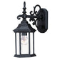 HomeRoots Petite Domed Hanging Glass Lantern Wall Light With Matte Black Finish
