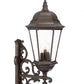 HomeRoots Richmond 3-Light Wall Light in Burled Walnut Finish