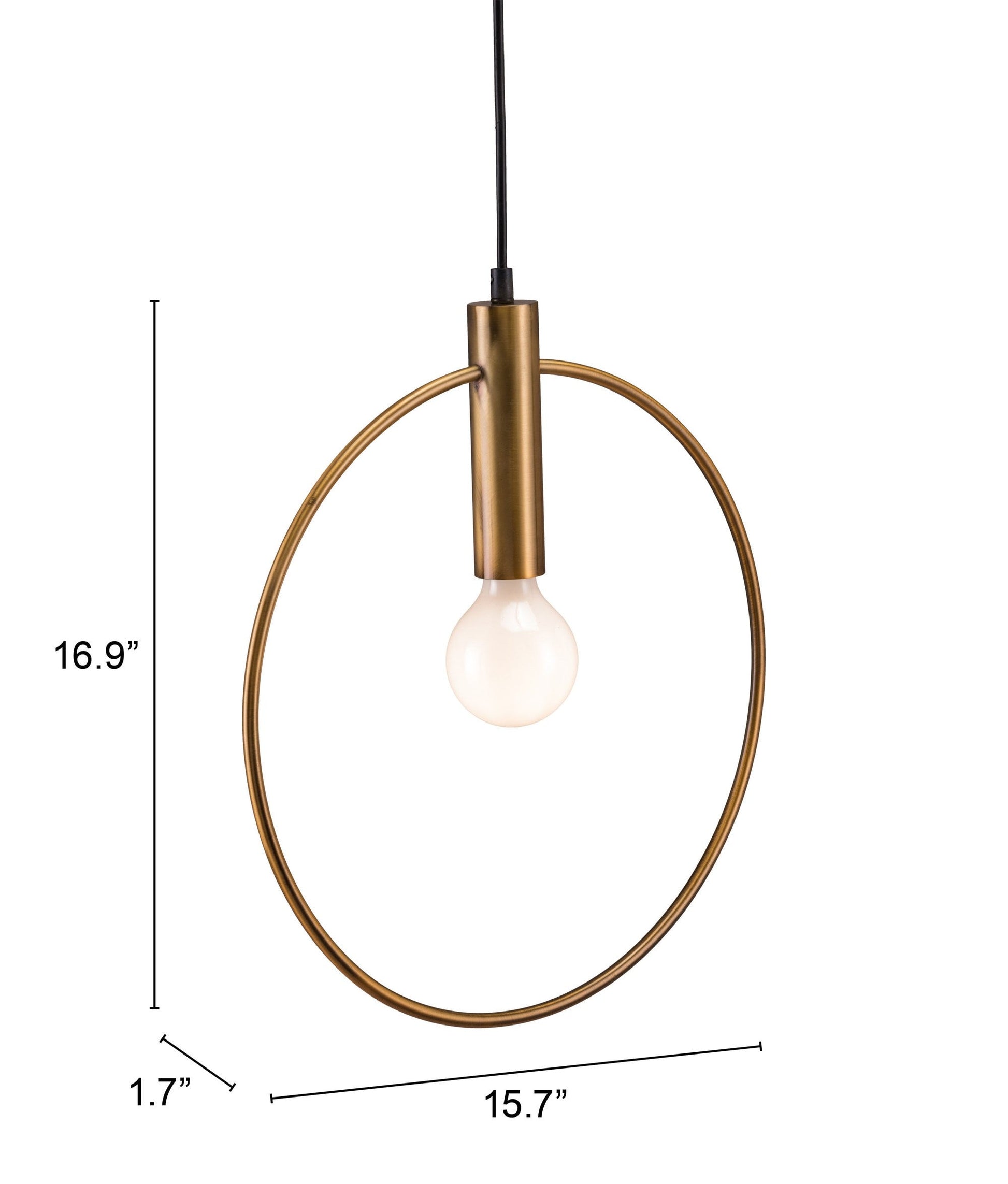 HomeRoots Ring Ceiling Lamp in Gold Finish