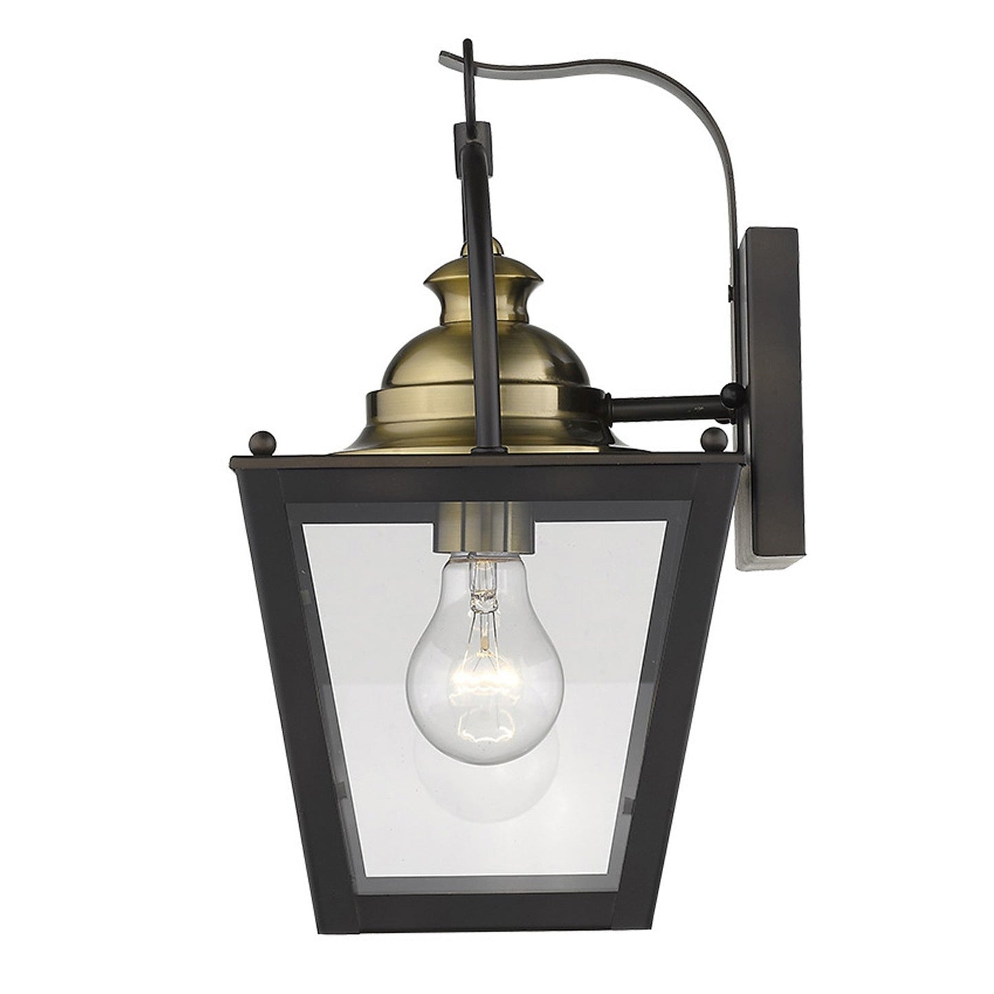 HomeRoots Savannah 1-Light Wall Light in Oil Rubbed Bronze Finish