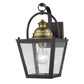 HomeRoots Savannah 1-Light Wall Light in Oil Rubbed Bronze Finish