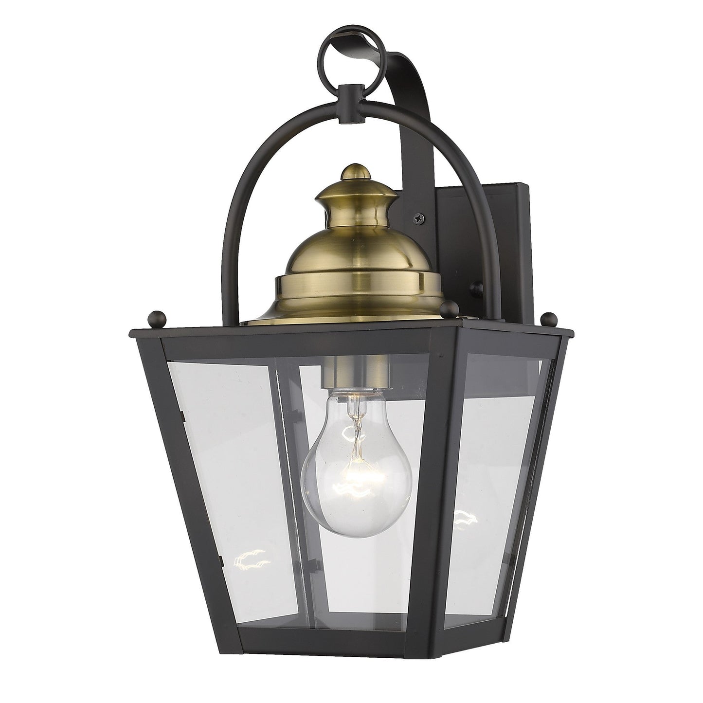 HomeRoots Savannah 1-Light Wall Light in Oil Rubbed Bronze Finish