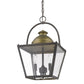 HomeRoots Savannah 3-Light Foyer Pendant With Raw Brass Accents And Clear Glass Panes in Oil-Rubbed Bronze Finish
