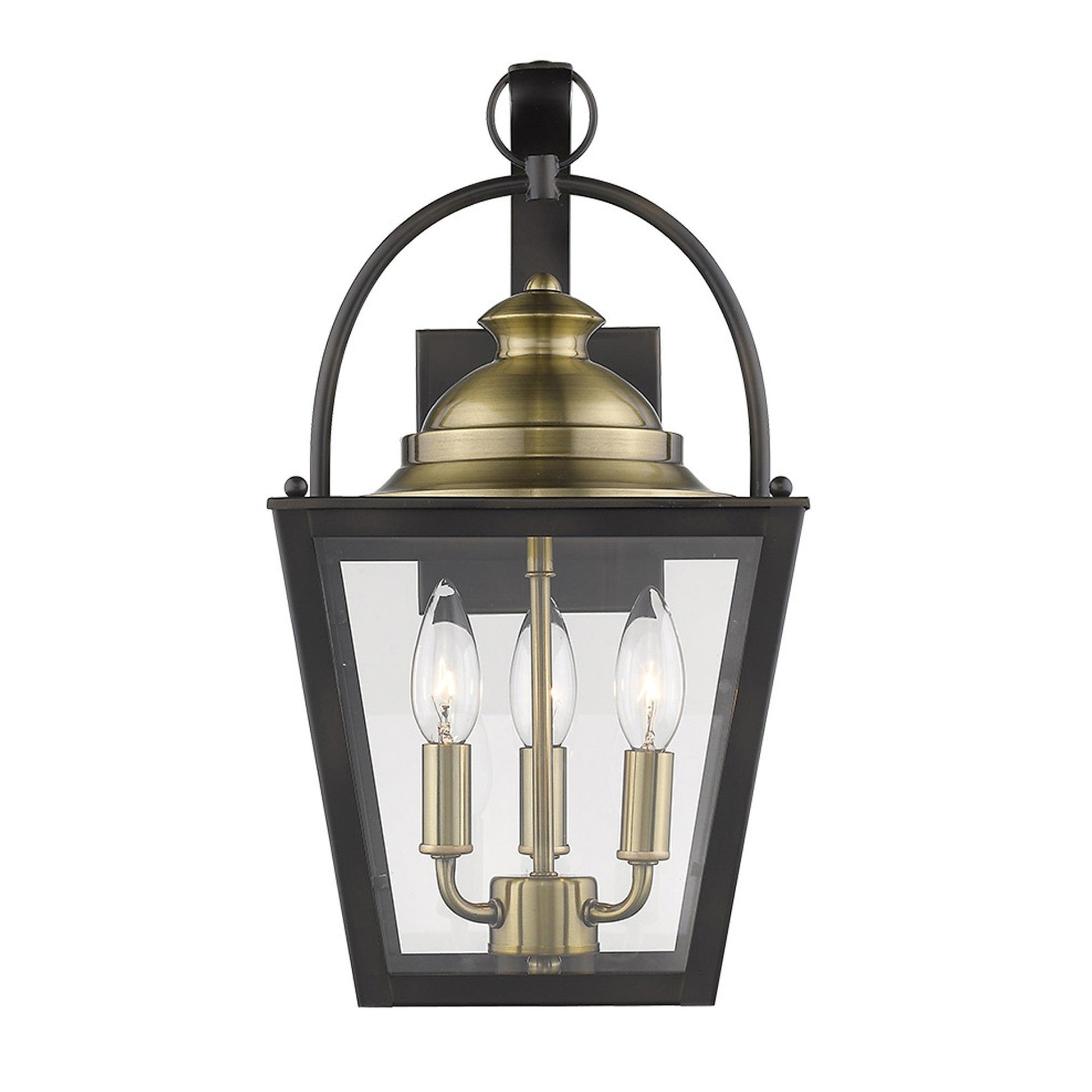HomeRoots Savannah 3-Light Wall Light in Oil Rubbed Bronze Finish