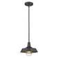 HomeRoots Shallow Plate Adjustable Pendant Light in Antique Bronze Finish