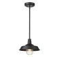HomeRoots Shallow Plate Adjustable Pendant Light in Matte Black Finish