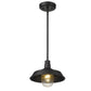 HomeRoots Shallow Plate Adjustable Pendant Light in Matte Black Finish