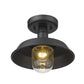 HomeRoots Shallow Plate Adjustable Pendant Light in Matte Black Finish