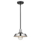 HomeRoots Shallow Plate Adjustable Pendant Light in Silver Finish