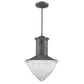 HomeRoots Skylar 1-Light Pendant With Halophane Glass Shade in Ash Finish