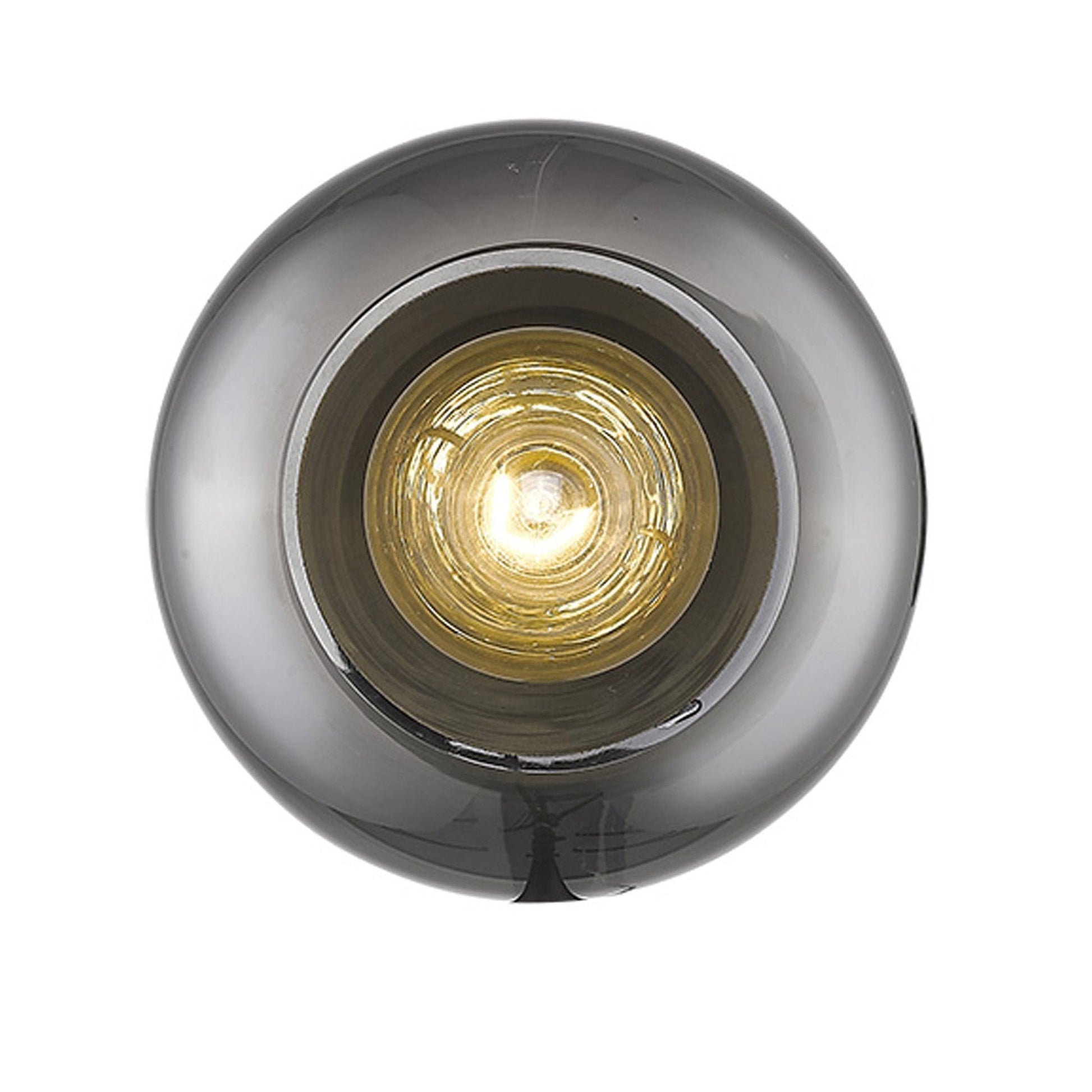 HomeRoots Smoked Glass Wall Light With Gold Finish