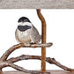HomeRoots Songbird On A Branch Accent Lamp With Tan Tailored Shade