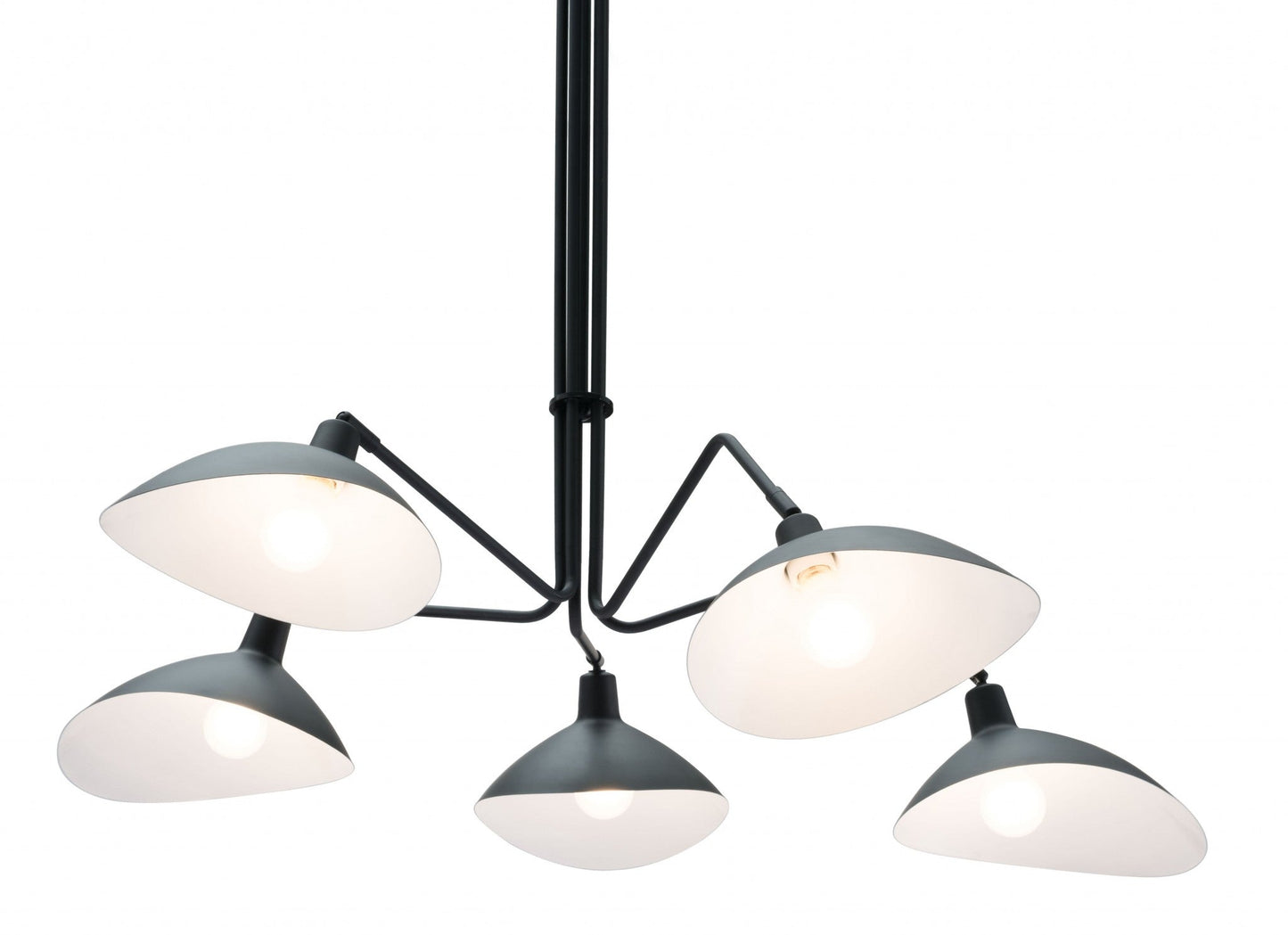 HomeRoots Spider Modern Chandelier in Black Finish