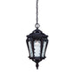 HomeRoots Stratford 1-Light Architectural Hanging Light in Bronze Finish