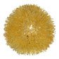 HomeRoots Sunburst Accent Wall Lamp in Gold Metal Finish