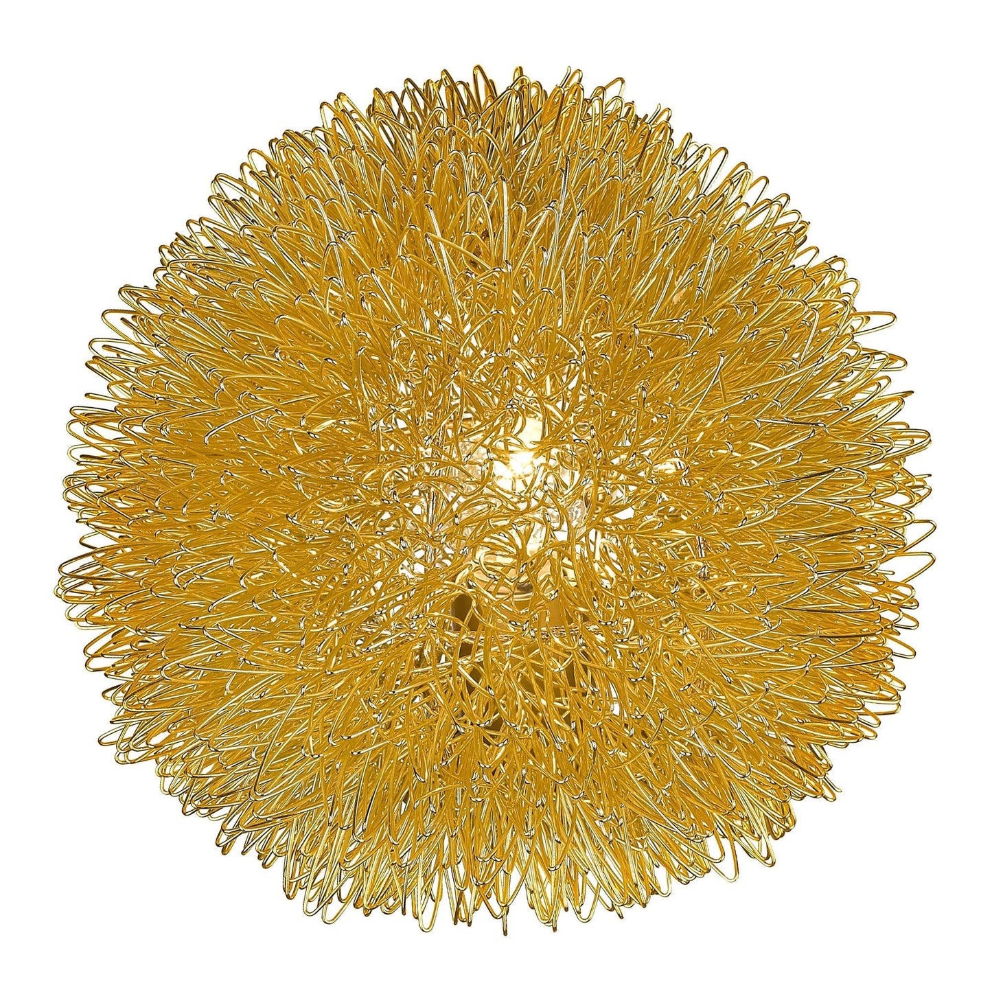 HomeRoots Sunburst Accent Wall Lamp in Gold Metal Finish