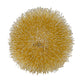 HomeRoots Sunburst Accent Wall Lamp in Gold Metal Finish