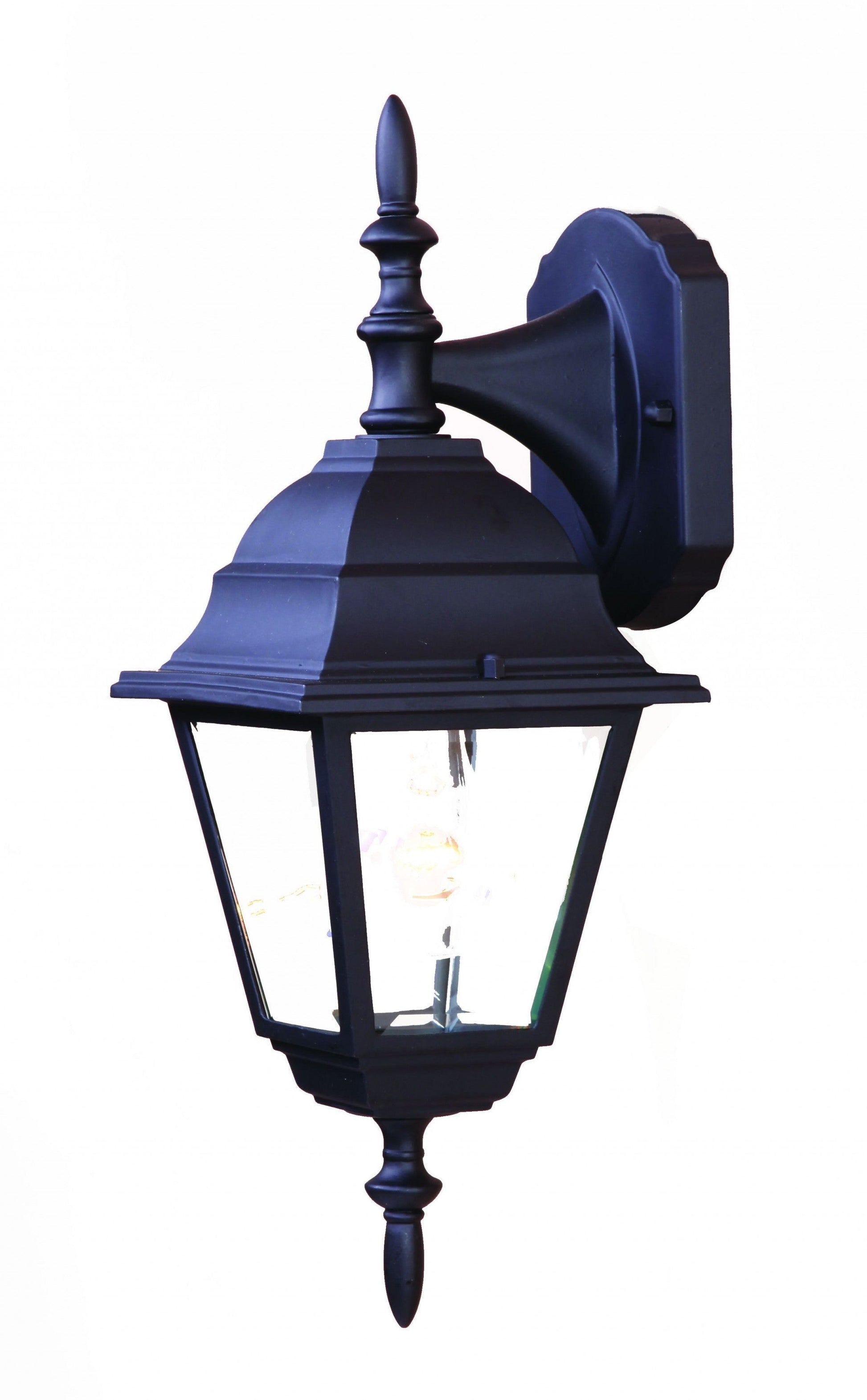 HomeRoots Swing Arm Outdoor Wall Light With Black Finish